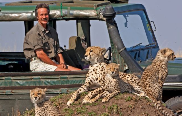 Jonathan Scott with cheetah and cubs on BBC Big Cat Week