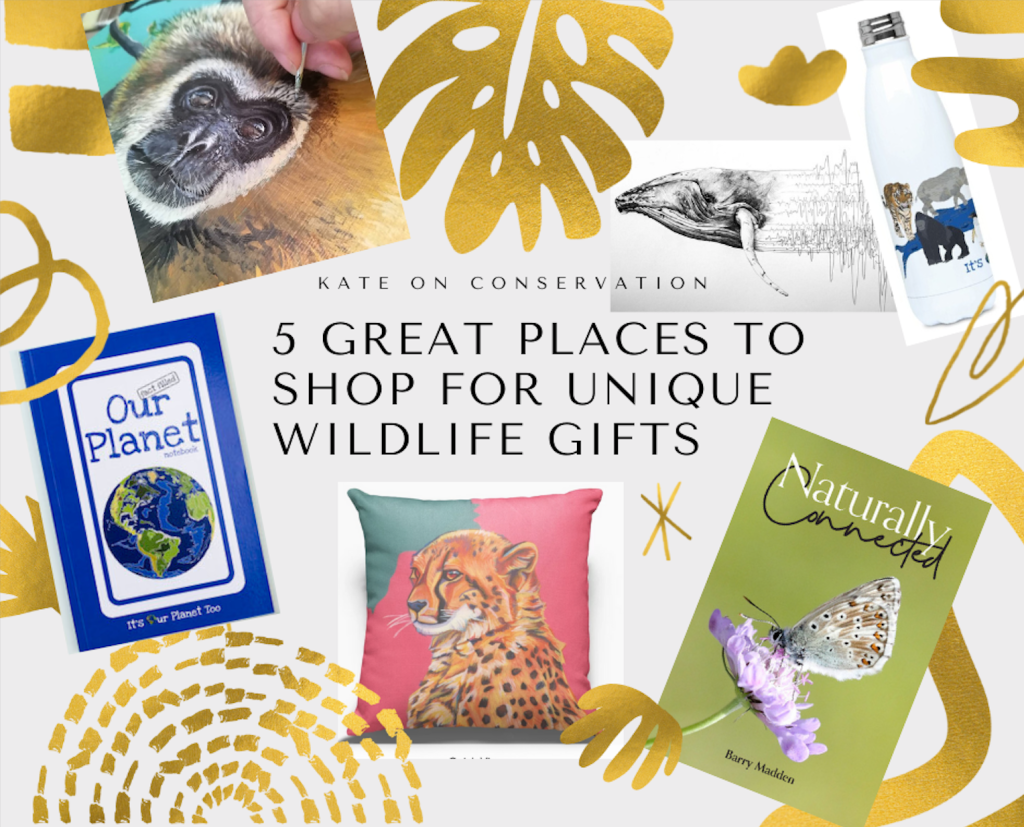 5 good places to purchase distinctive wildlife presents