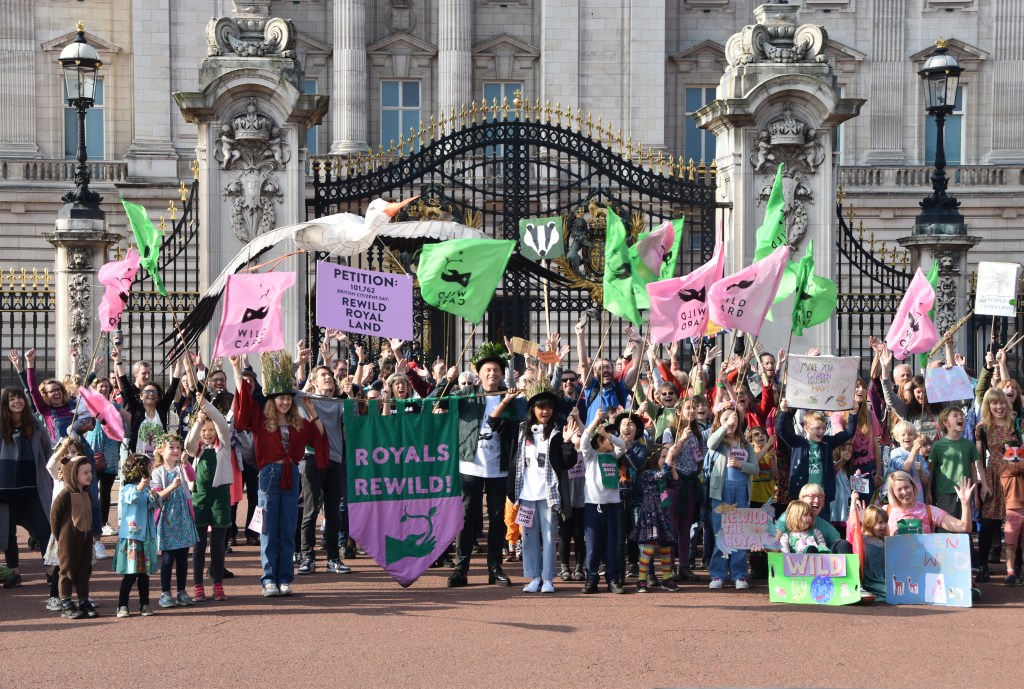 College strikers identify on the Royals to rewild their land