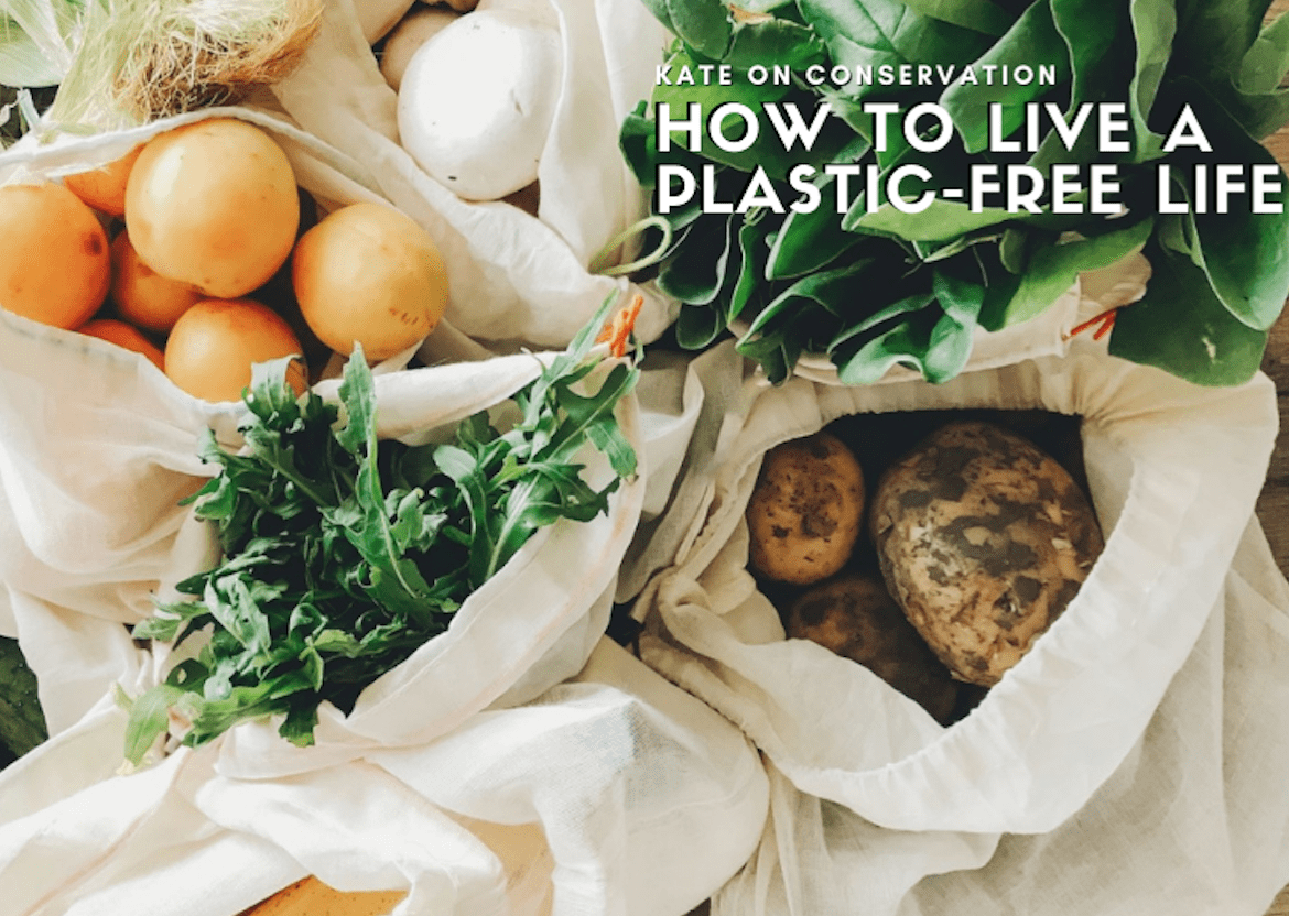 Zero-waste revolution: One of the simplest ways to Keep a Plastic-Free Life