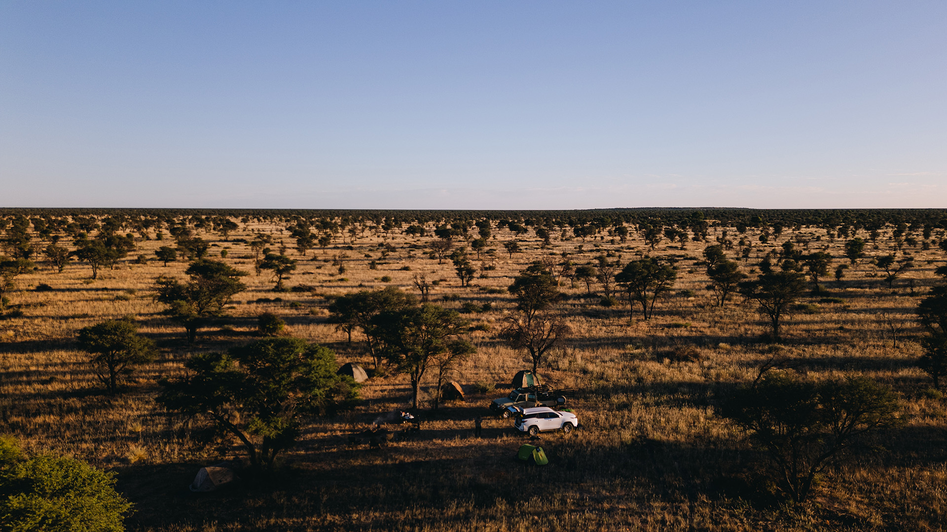 Now Defending Kgalagadi District 15 • Weblog • Akashinga